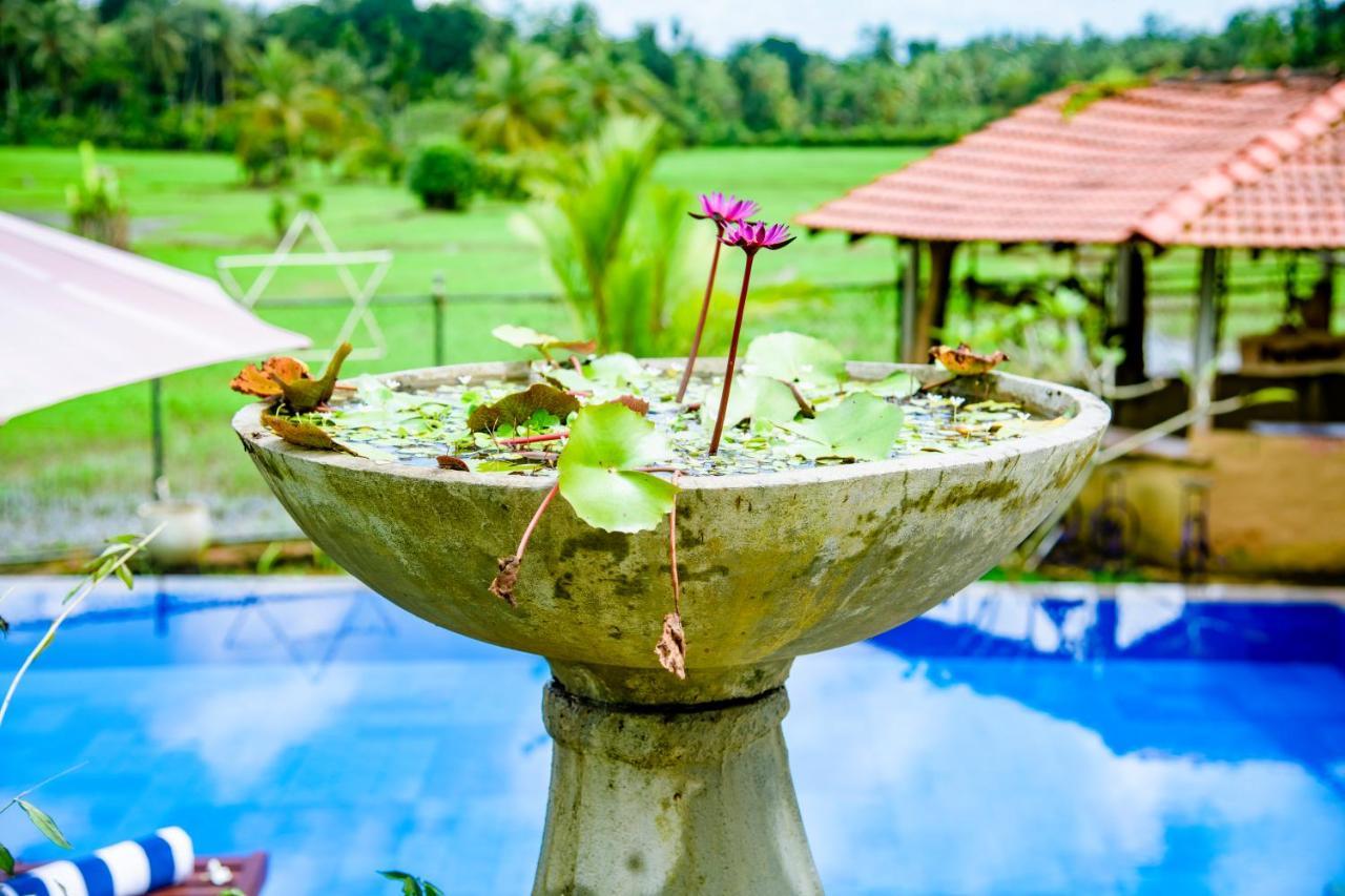 Peaceful Villa With Pool Near Hikkaduwa Ambalangoda  Kültér fotó