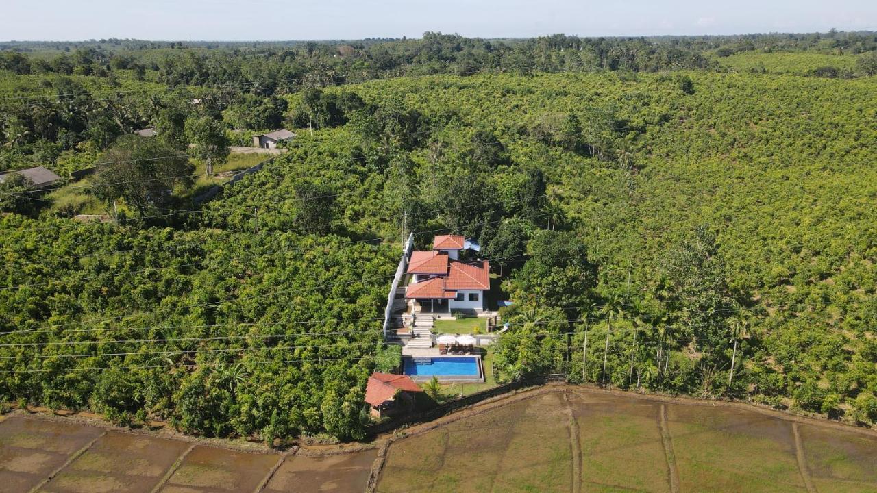 Peaceful Villa With Pool Near Hikkaduwa Ambalangoda  Kültér fotó